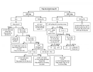 Hình 1: Tiếp cận chẩn đoán rối loạn nhịp tim nhanh