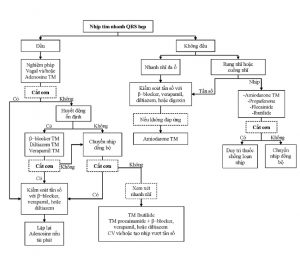 Hình 2a Lưu đồ điều trị rối loạn nhịp nhanh QRS hẹp