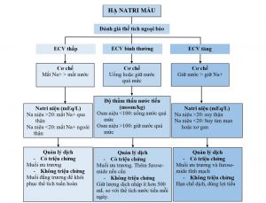 HÌNH 2 Lưu đồ dòng về cách tiếp cận hạ natri máu dựa trên thể tích ngoại bào (ECV).