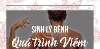 Sinh lý bệnh quá trình viêm