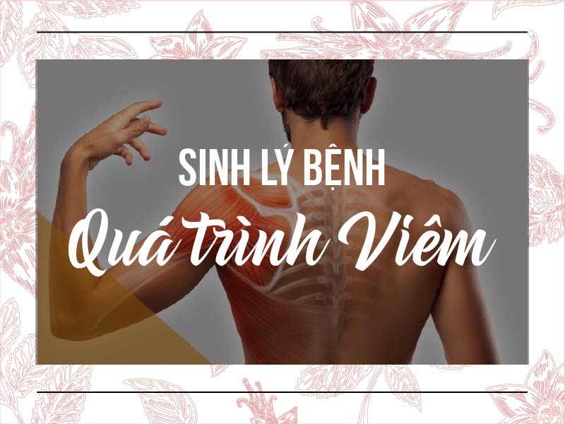 Sinh lý bệnh viêm và vai trò của viêm đối với cơ thể