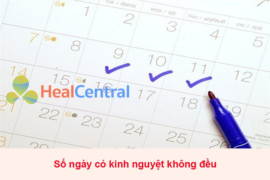 Số ngày có kinh nguyệt không đều