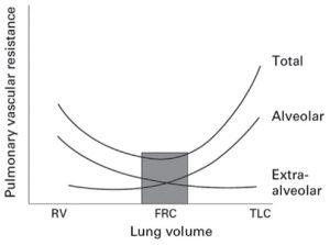 Hình 1: Sức cản mạch máu phổi và thể tích phổi [11]