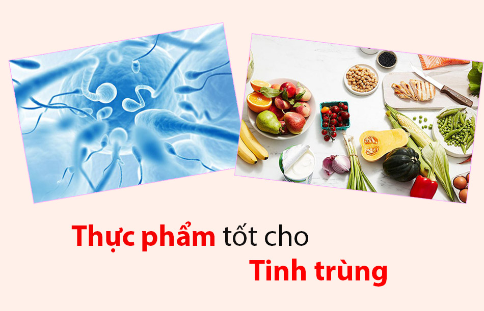 Tinh trùng là gì? Đàn ông làm gì giúp cho tinh trùng khỏe mạnh