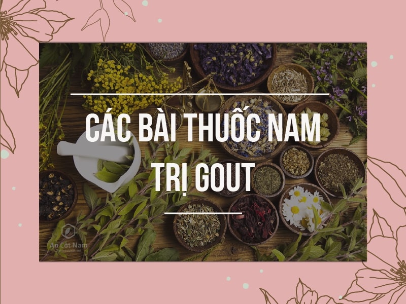 Sử dụng các bài thuốc Nam trong điều trị Gout