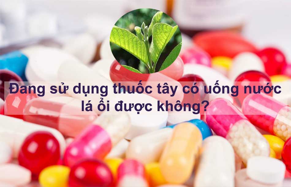 Thuốc tây và lá ổi