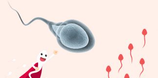 Tìm hiểu về tinh trùng và những cách giúp tinh trùng khỏe mạnh