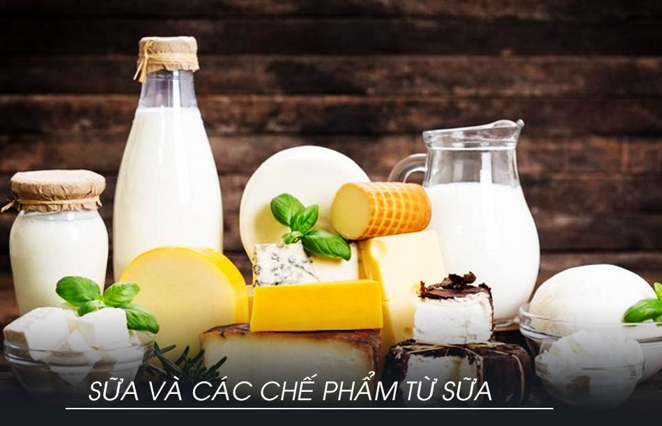 Các chế phẩm từ sữa