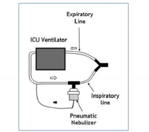 Hình 1. Vị trí đặt bình khí dung trên nhánh hít vào của máy thở (theo Reference 18).