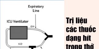 Trị liệu các thuốc dạng hít trong thở máy