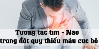 Tương tác tim - Não trong đột quỵ thiếu máu cục bộ cấp