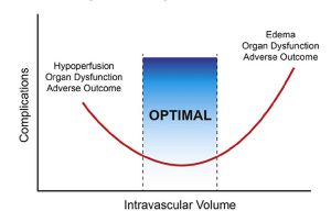 Hình 1. Lượng dịch truyền so với các biến chứng (được sửa đổi từ Bellamy) [1]. Cả giảm thể tích máu và tăng thể tích máu đều có thể dẫn đến rối loạn chức năng cơ quan và kết quả bất lợi. Thách thức là giữ bệnh nhân trong vùng tối ưu.