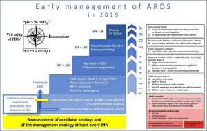 Hình 1 Thuật toán trị liệu về quản lý ARDS sớm (Ý kiến chuyên gia)