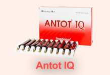 Antot IQ