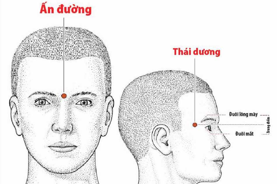 Bấm huyệt ấn đường và thái dương