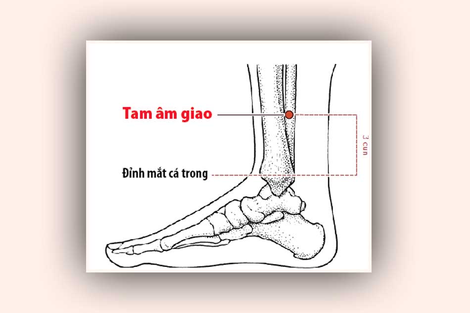 Bấm huyệt tam âm giao