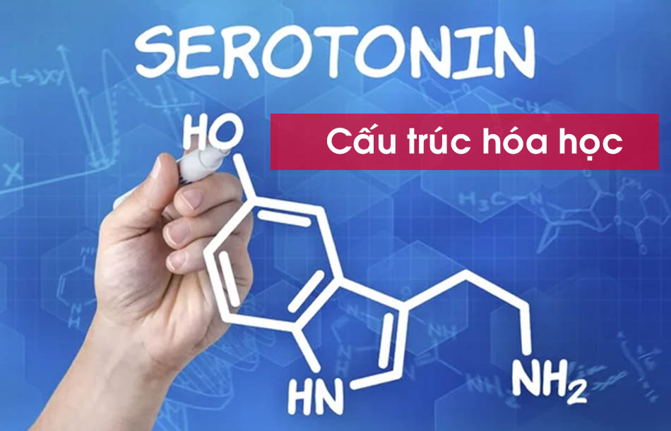Cấu trúc hóa học của Serotonin