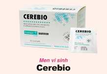 Cerebio