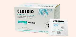 Cerebio