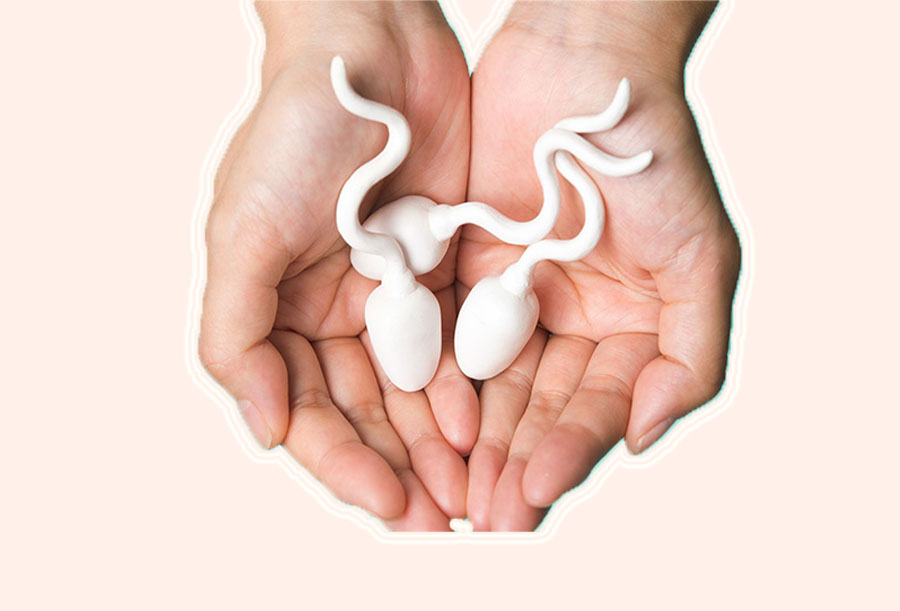 Chất lượng tinh trùng ảnh hưởng đến thụ thai