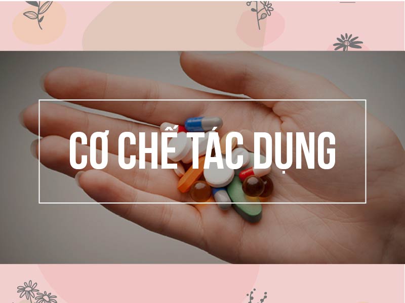 Cơ chế tác dụng của nhóm kháng sinh Monobactam