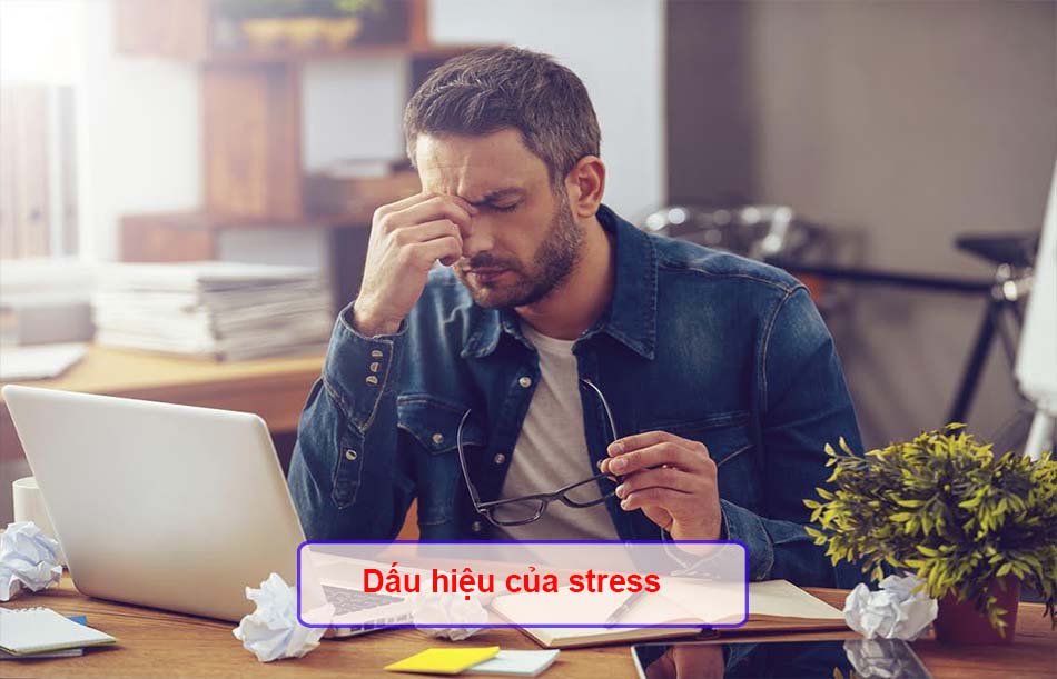 Dấu hiệu của stress