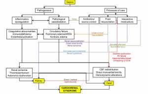 Hình 1. Sinh bệnh học của hội chứng tim mạch trong nhiễm khuẩn huyết. Chú thích: hộp đen và mũi tên chứng minh ảnh hưởng của bệnh sinh trùng huyết và các mũi tên màu làm nổi bật những ảnh hưởng của quá trình chăm sóc đến tiến phát triển của hội chứng tim thận. Chữ viết tắt: ARDS: Hội chứng suy hô hấp cấp nguy kịch; CBF: lưu lượng máu mạch vành; RV: tâm thất phải; SCM: bệnh cơ tim do nhiễm trùng huyết.