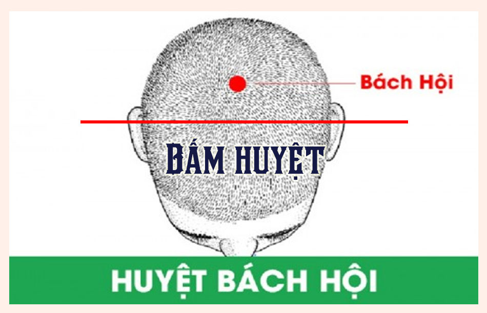 Huyệt bách hội