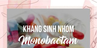 Kháng sinh nhóm Monobactam