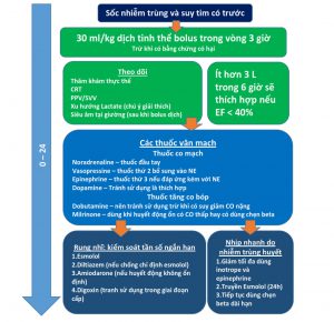 Hình 1. Mô tả các biện pháp can thiệp tối ưu được đề xuất cho sốc nhiễm trùng với HF đã có từ trước trong 24 giờ xử trí đầu tiên.