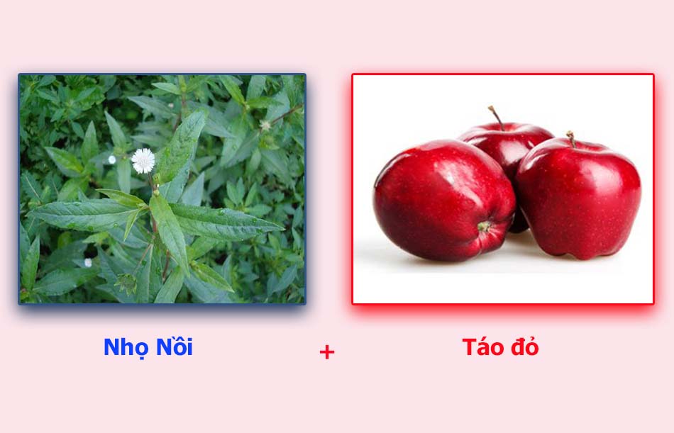 Cây nhọ nồi và táo đỏ