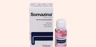 Somazina