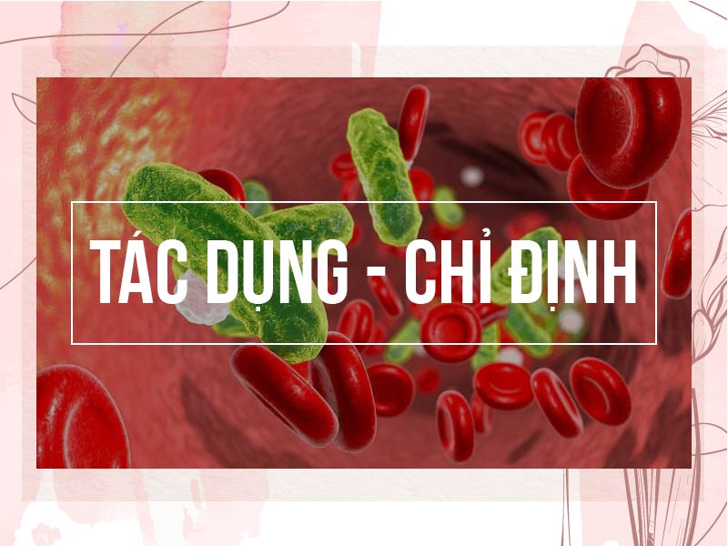 Tác dụng – Chỉ định khi sử dụng thuốc kháng sinh nhóm Monobactam