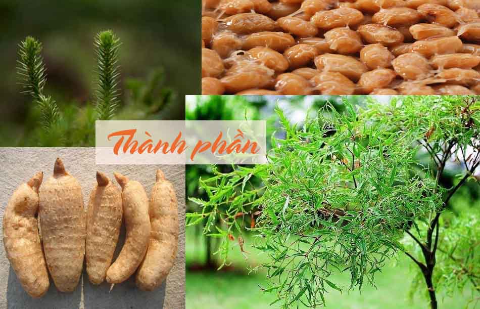 Thành phần kính vương não bộ