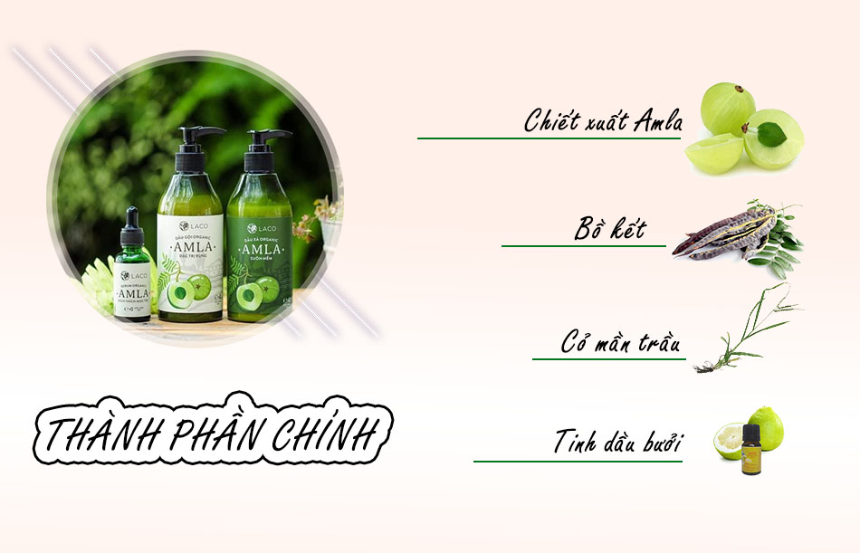 Thành phần của dầu gội Amla