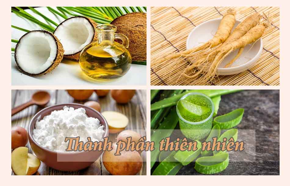 Thành phần của dầu gội Organic Care