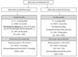 Hình 1. Bệnh nhân thở máy kiểu thở kiểm soát thể tích.