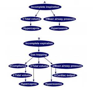 Hình 4. Ảnh hưởng của thì hít vào không đầy đủ (A) hoặc thì thở ra không đầy đủ (B) về trao đổi khí.