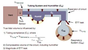 Hình 1-3 Giới hạn chức năng của thông khí kiểm soát thể tích ở trẻ sơ sinh.