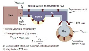 Hình 1-3 Giới hạn chức năng của thông khí kiểm soát thể tích ở trẻ sơ sinh.