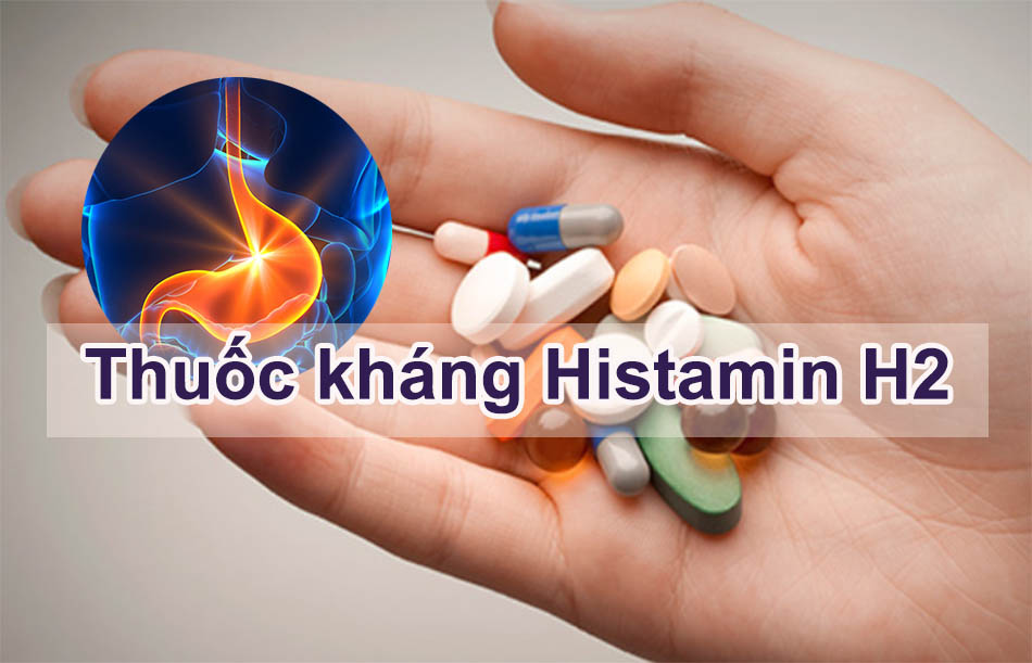 Thuốc kháng histamin H2