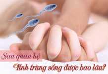 Sau khi quan hệ, tinh trùng sống được bao lâu?