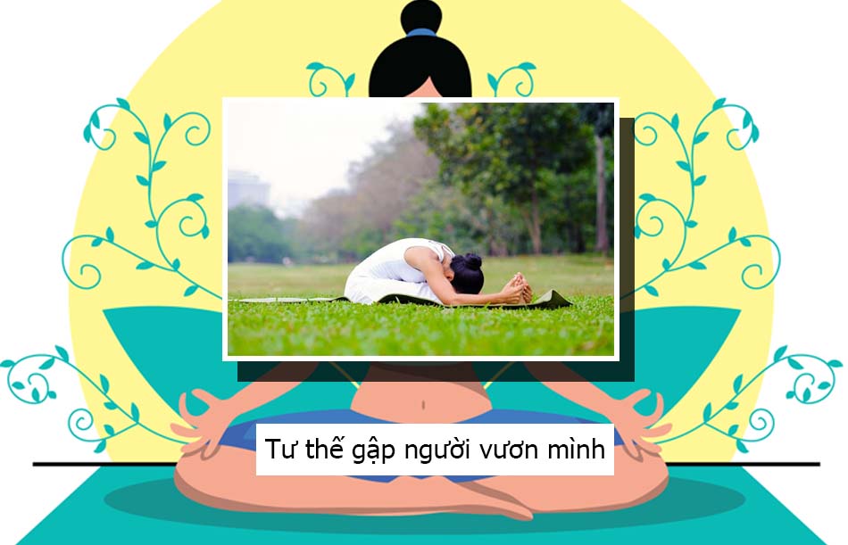 Tư thế gập người vươn mình