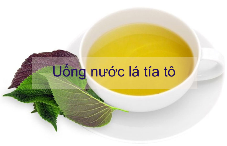 Uống nước lá tía tô