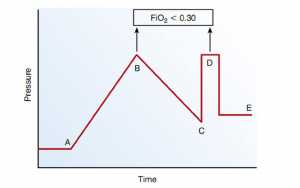 Hình 1-5 Biểu diễn bằng cách sử dụng oxy hóa để tối ưu hóa thể tích phổi ở trẻ non tháng có RDS.
