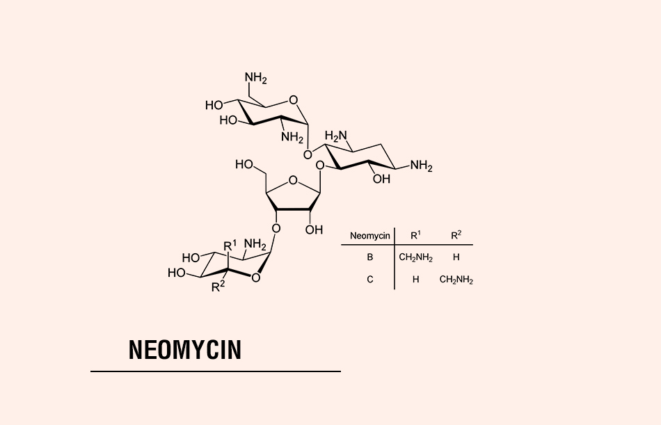 Cấu trúc hóa học của Neomycin