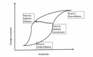 Hình 2: Chu trình hysteresis áp suất-thể tích trong HFOV.