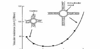 HIGH FREQUENCY OSCILLATORY VENTILATION Ở TRẺ SƠ SINH