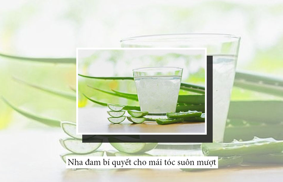 Nha đam bí quyết cho mái tóc suôn mượt