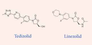 2 kháng sinh nhóm Oxazolidinone